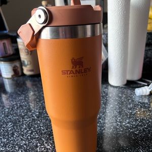 Orange 30oz Stanley cup.